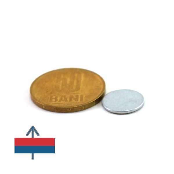 Magnet neodim disc 13x1 mm 4