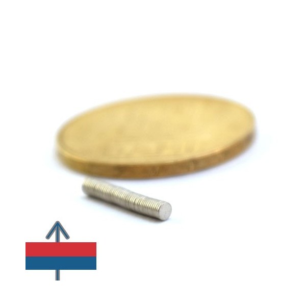 Magnet neodim disc 02 x 0.3 mm 4