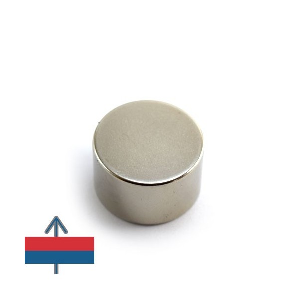 Magnet neodim disc 25 x 15 mm 6