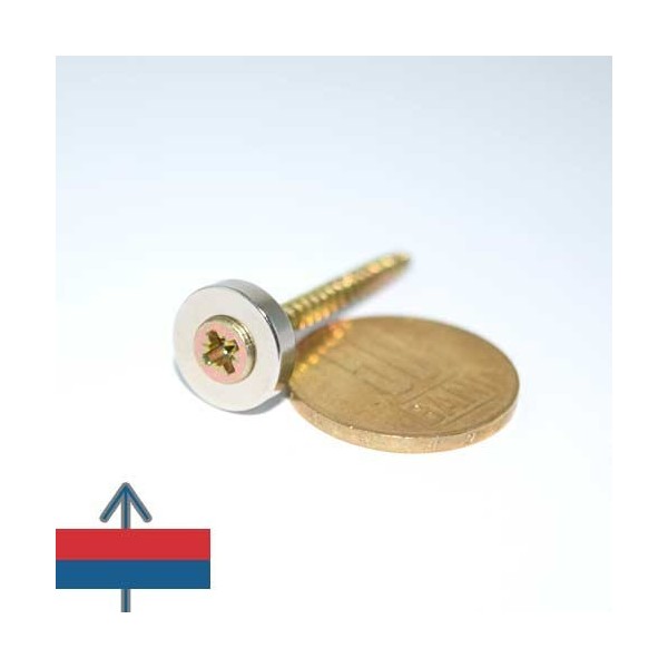 Неодимов магнит пръстен D 13 мм 2