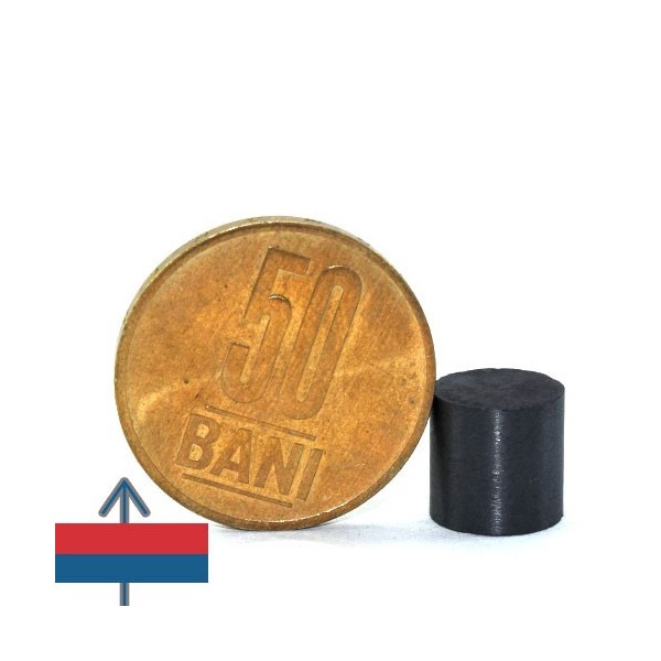 Magnet ferita disc 10 x 10 mm 3