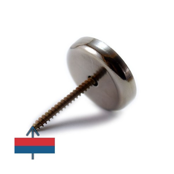 Magnet neodim oala D36 9