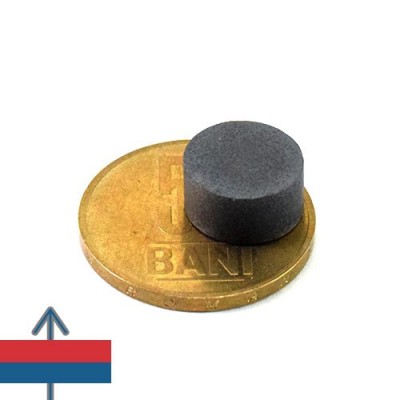 Magnet ferita disc 12 x 6 mm 3