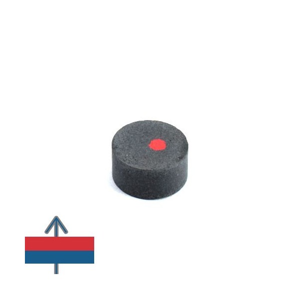Magnet ferita disc 12 x 6 mm 4