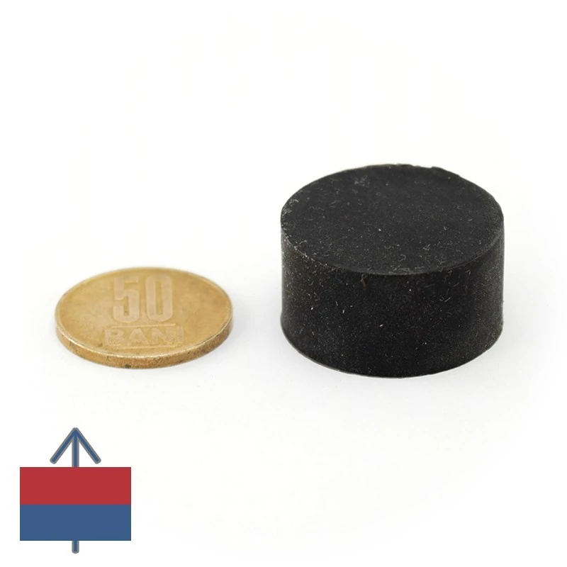 Magnet neodim disc 29 x 15 mm cauciucat - N45 cu moneda de 50 bani