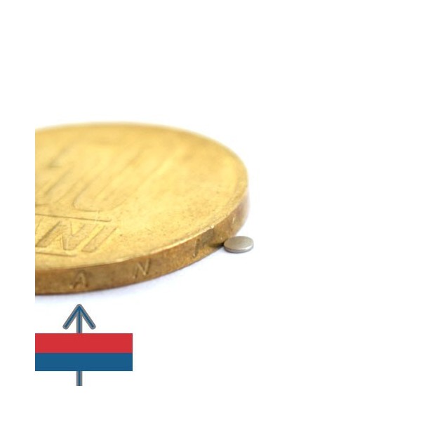 Неодимов магнит диск 02 x 0.3 мм 2