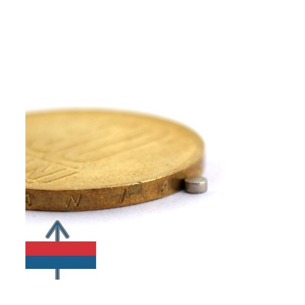 Неодимов магнит диск 02 x 01 мм 3