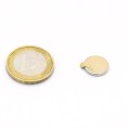 Magnet neodim disc 12 x 1,5 mm autoadeziv cu moneda de un euro