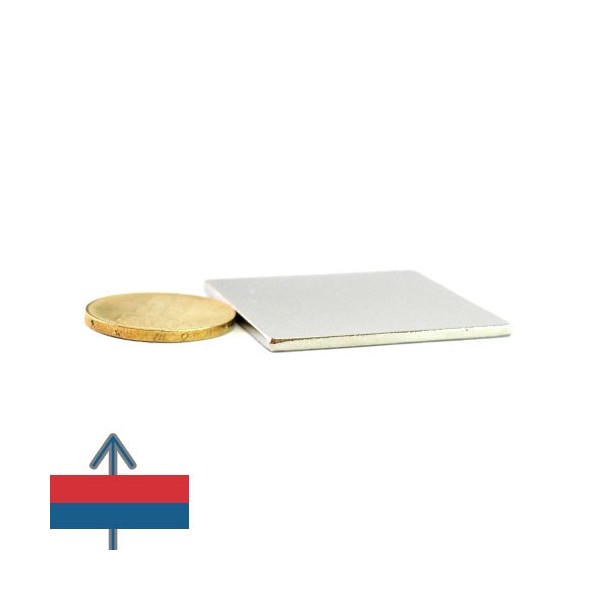 Magnet neodim bloc 40 x 40 x 02 mm 3