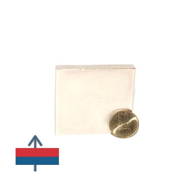 Magnet neodim bloc 60 x 60 x 10 mm 1