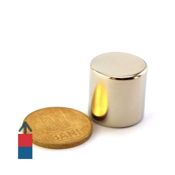Magnet neodim cilindru 20 x 20 mm 2
