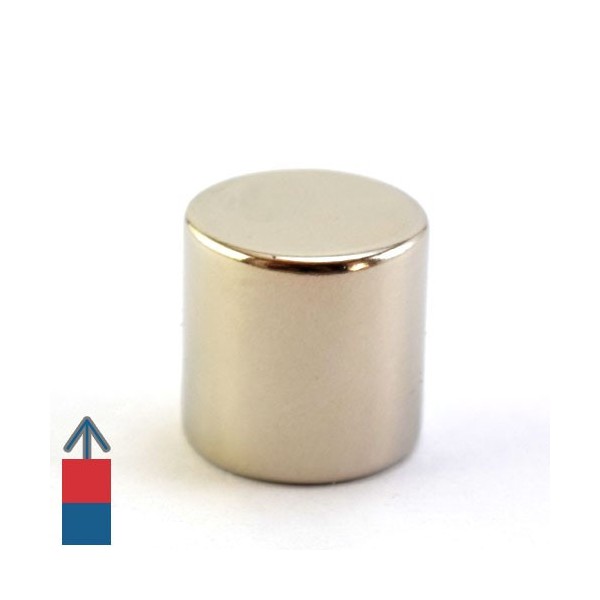 Magnet neodim cilindru 20 x 20 mm 3