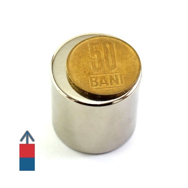 Magnet neodim cilindru 30 x 30 mm 2