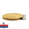 Неодимов магнит цилиндър 5 x 5 мм 3