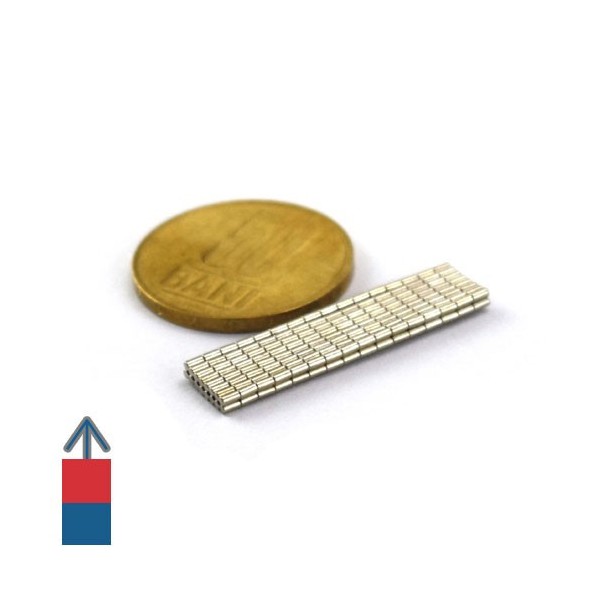Magnet neodim cilindru 01 x 02 mm 4