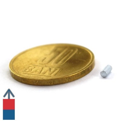 Magnet neodim cilindru 02 x 04 mm 3