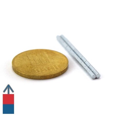Magnet neodim cilindru 02 x 04 mm 6