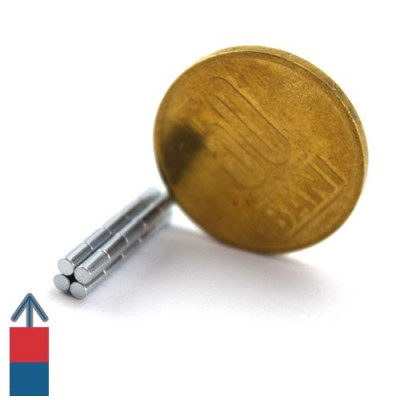Magnet neodim cilindru 02 x 04 mm 8