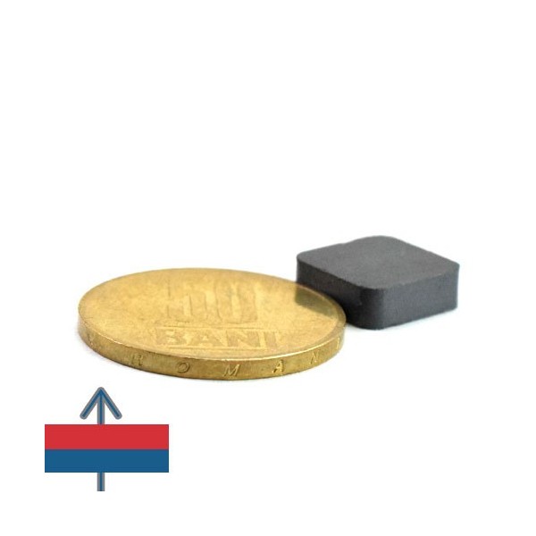 Magnet ferita bloc 12 x 12 x 4 mm 2