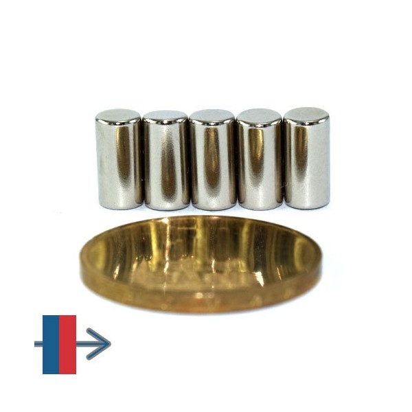 Magnet neodim cilindru 05 x 10 mm 7